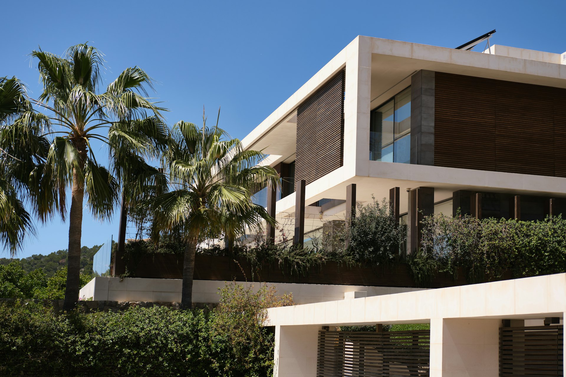 Palmiye ağaçları arasında geniş camlı modern lüks villa dış cephesi